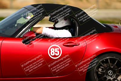 media/Feb-17-2024-Extreme Speed (Sat) [[f2f02d613c]]/Green Group/Session 2 (Turn 14)/